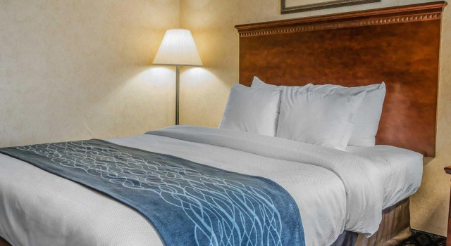 Standard Zimmer Quality Lodge