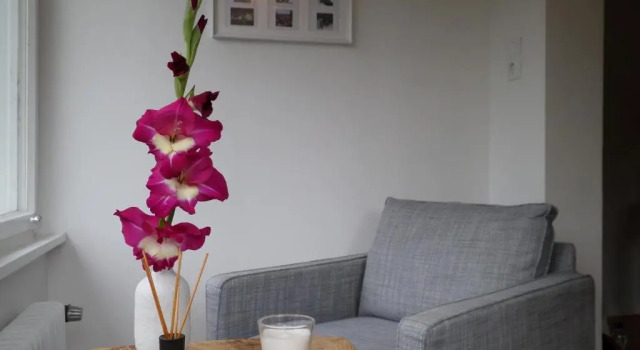 Апартаменты c 1 комнатой Ferienwohnung Börner