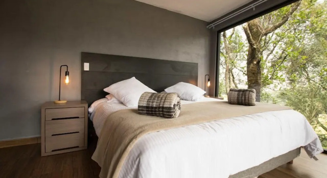 Номер Superior Orgánico Hotel Boutique