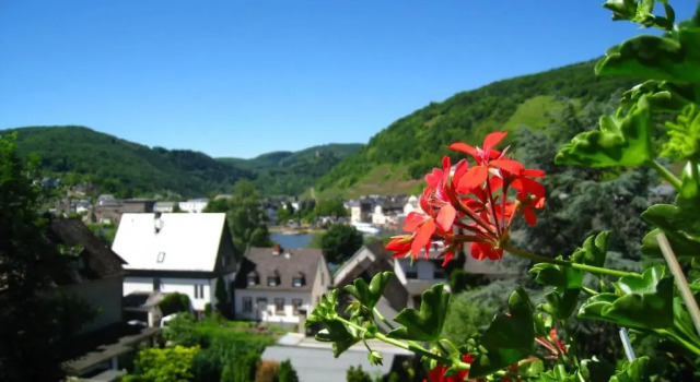 Апартаменты Ferienwohnung Burgblick