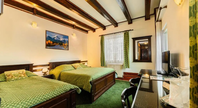 Номер Standard Pension Casa Bradul