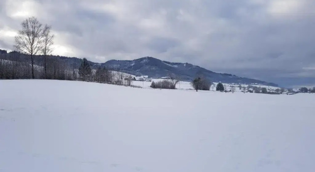 modernes Appartement Schwarzwald Nähe Freiburg