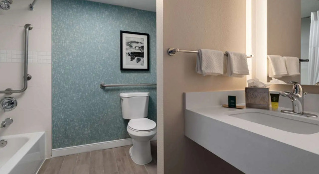 Standard chambre DoubleTree by Hilton Norfolk Airport