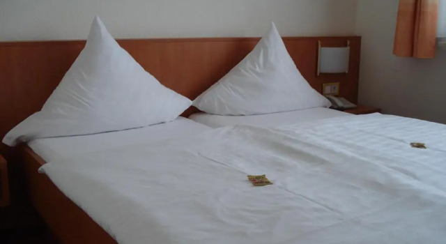 Двухместный номер Standard Panorama Hotel am Frankenstein