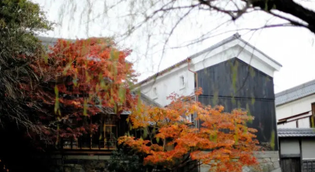 Hatago Wakatsu