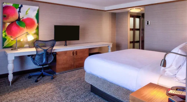 Номер Standard Hilton Garden Inn Detroit Southfield