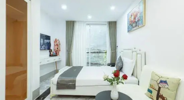 Двухместный номер Deluxe с балконом Le Vu Hotel