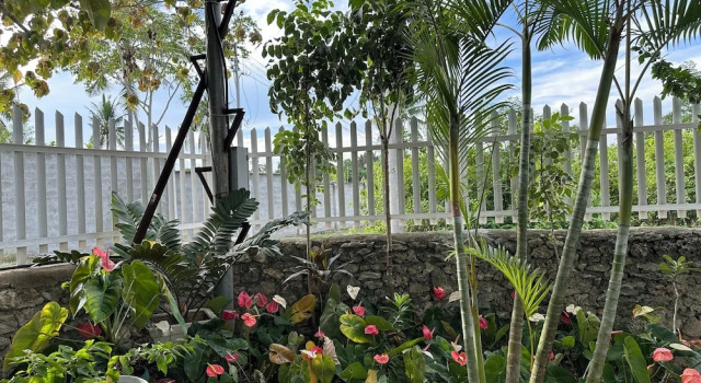 Люкс Moalboal Casablanca Inn