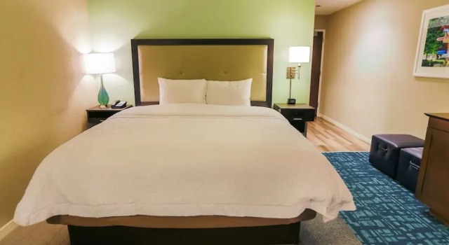 Двухместный номер Accessible Hampton Inn & Suites Charlotte/Ballantyne