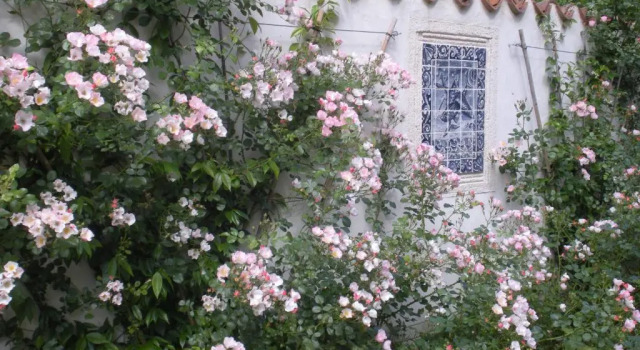 Moulin De Larcy, Prenota Hotel Villetoureix Aquitania