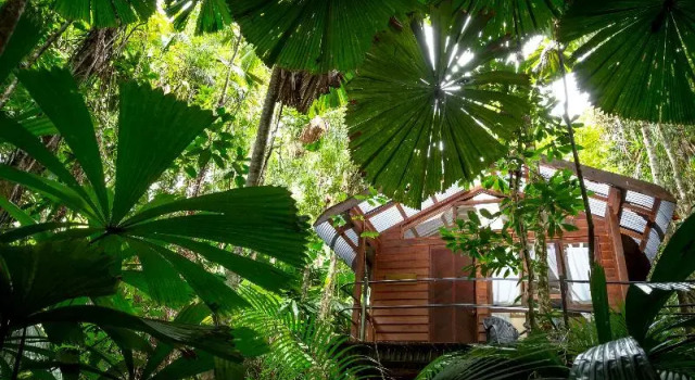 Трёхместный номер Standard с балконом Daintree Wilderness Lodge