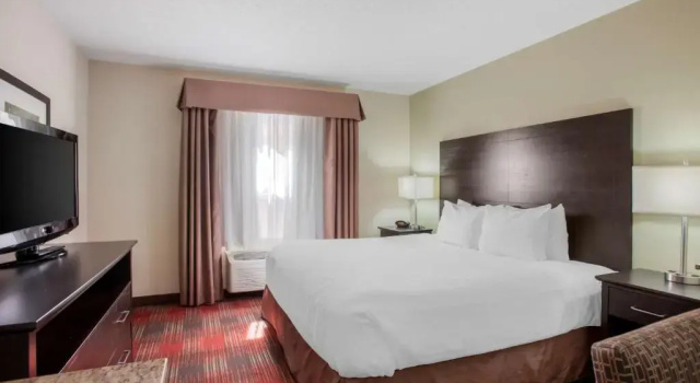 Номер Standard Best Western Plus Red Deer Inn & Suite