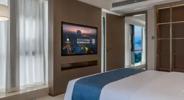Люкс Executive с видом на озеро Wuhan Jointown Swan Hotel