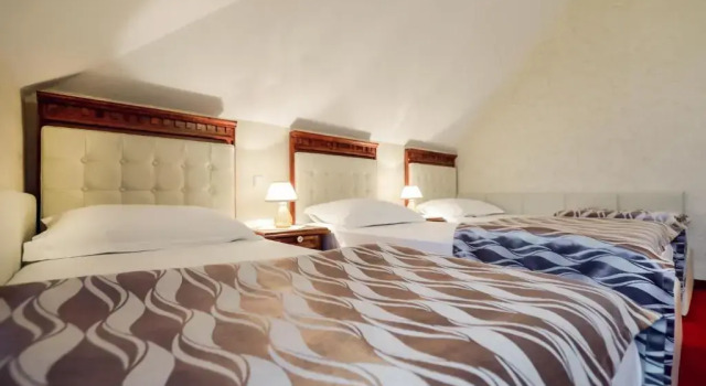 Трёхместный номер Standard Hotel Dunav