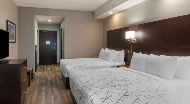 Четырёхместный номер Standard Best Western Premier Northwood Hotel
