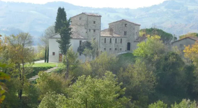 Vaccaria