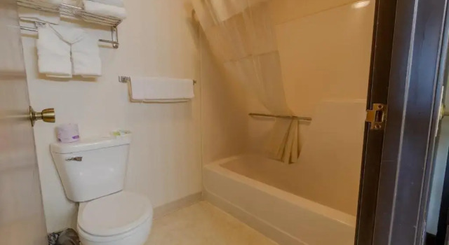 Семейный номер Standard Thunderbird Lodge