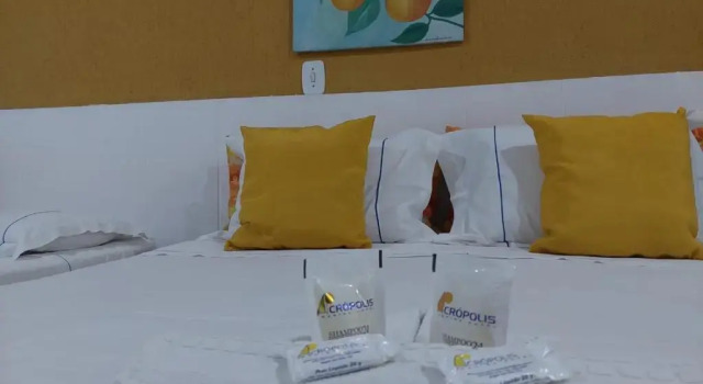 Одноместный номер Standard Acrópolis Marina Hotel