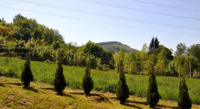 Студия Apartament Ustronny