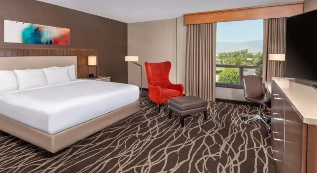 Двухместный номер Deluxe с видом на горы DoubleTree by Hilton San Bernardino