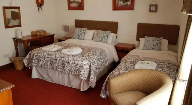 Номер Standard Black Dog Inn