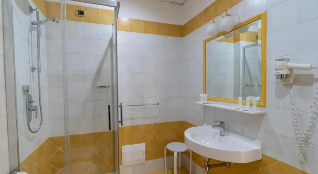 Одноместный номер Standard Hotel Palace