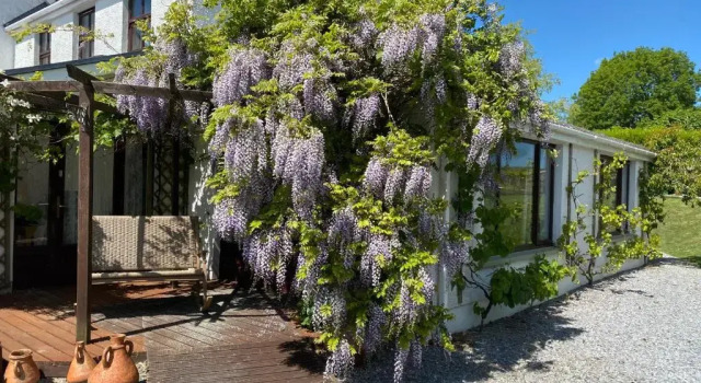 Люкс с видом на сад Jabajak Vineyard Restaurant & Rooms