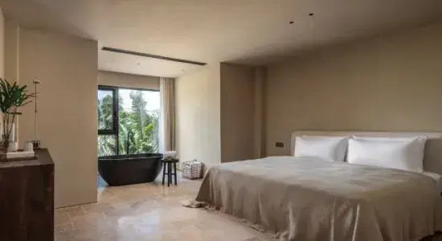 Двухместный люкс Deluxe Shi Lan Yu Hotel