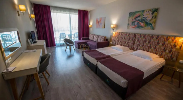 Двухместный номер Standard с балконом и с видом на парк Topola Skies Resort & Aquapark