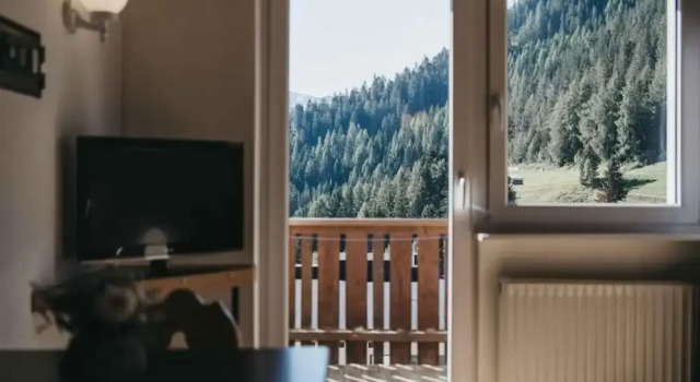 Студия Standard Haus Bellevue