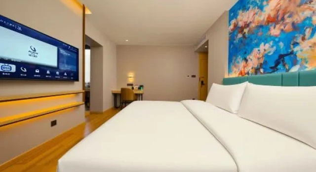 Люкс Deluxe Magnolia Hotel (Hami Railway Station Branch)