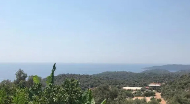 Senayablaevpansiyonculuk