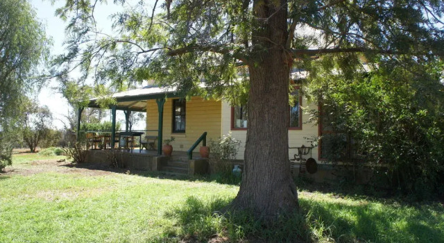 Rosnay Organic Vineyard, Olive Grove, Figs and Farmstay, Забронировать Отель Кановиндра Central West NSW