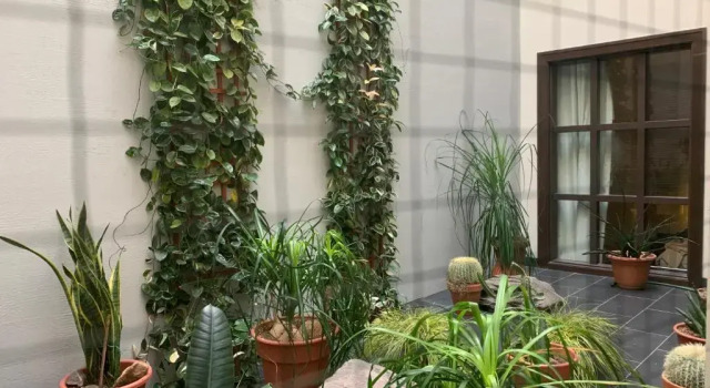 Двухместный номер Standard Hôtel Sainte-Anne