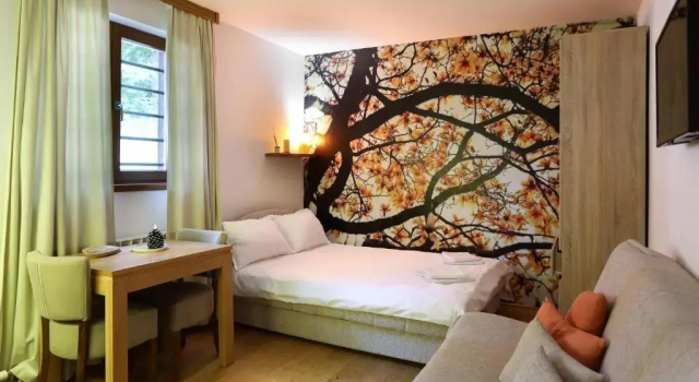 Студия Apartments Sport House Novakovic