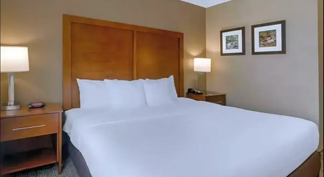 Номер Standard Comfort Inn & Suites Peachtree Corners - Norcross