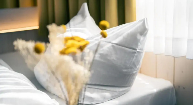 Одноместный номер Standard Gartenhotel Fettehenne