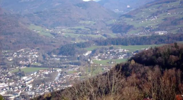 Ferienwohnung Löffelberger