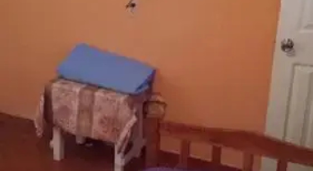 Hospedaje Rampolla's, Book Hotel Billige hoteller i Chiriqui