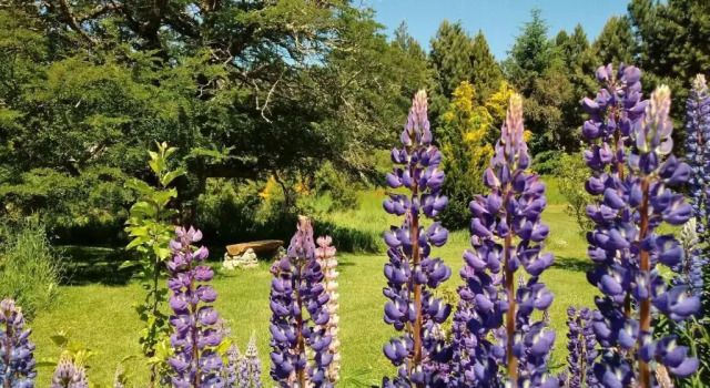 Коттедж Cabañas Villa Labrador con costa de lago
