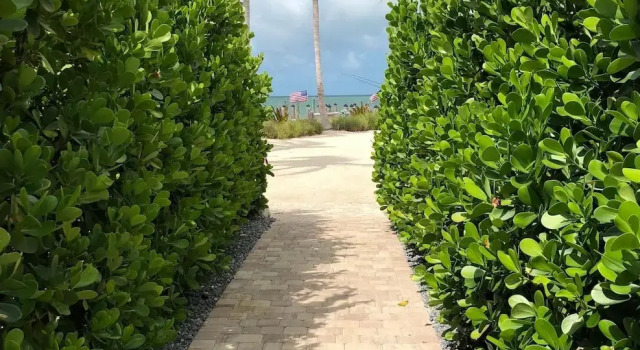 Коттедж 6 Waterfront Beautiful 4 Bed 3 Bath Pool Home