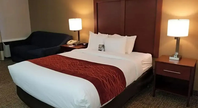 Двухместный номер Comfort Comfort Inn Toronto North York