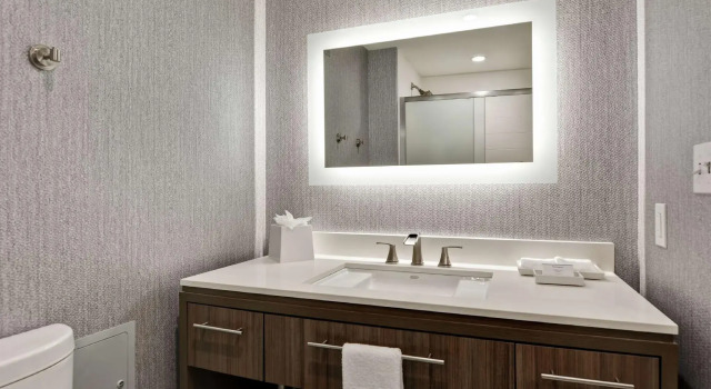 Двухместный люкс Home2 Suites By Hilton Jacksonville South St Johns Town Ctr