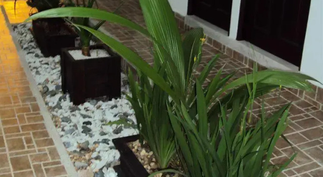 Hotel Libertad Plaza, Book Hotel Pereira Risaralda