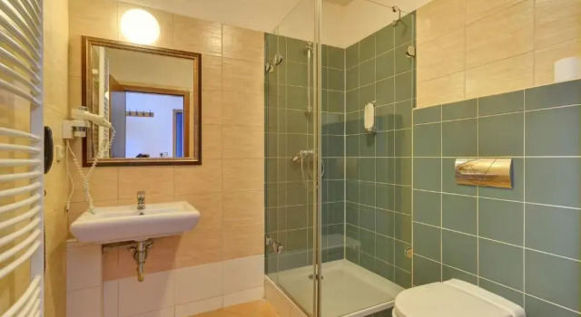 Номер Standard Hotel U Pramenu