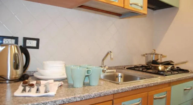 Апартаменты c 1 комнатой Duskova Apartments