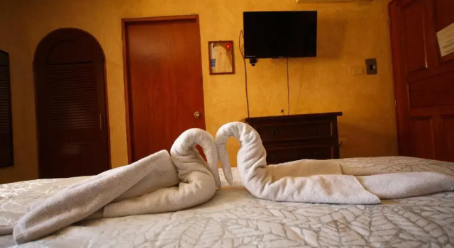 Двухместный номер Standard с красивым видом из окна Hotel La Casona Real