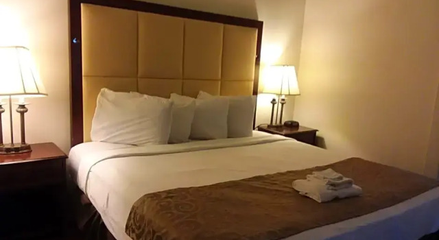 Номер Deluxe Historic Mardi Gras Inn