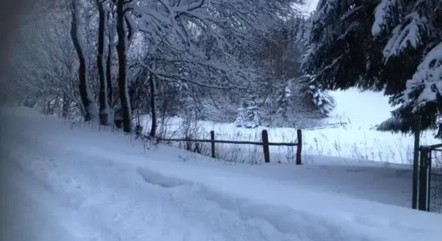 Chalet Le Grand Cerf, Забронировать Шале Бюллинген 