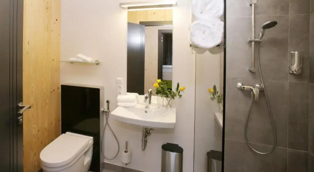 Апартаменты с видом на горы Aparthotel Zell am See